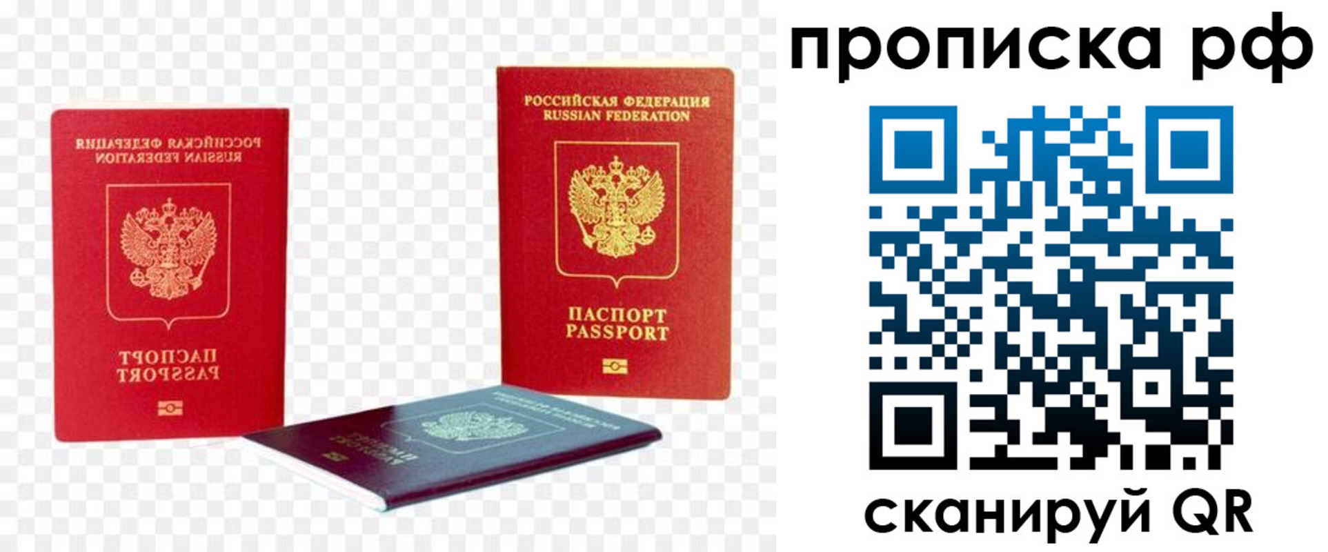 временная регистрация адрес в Курской области